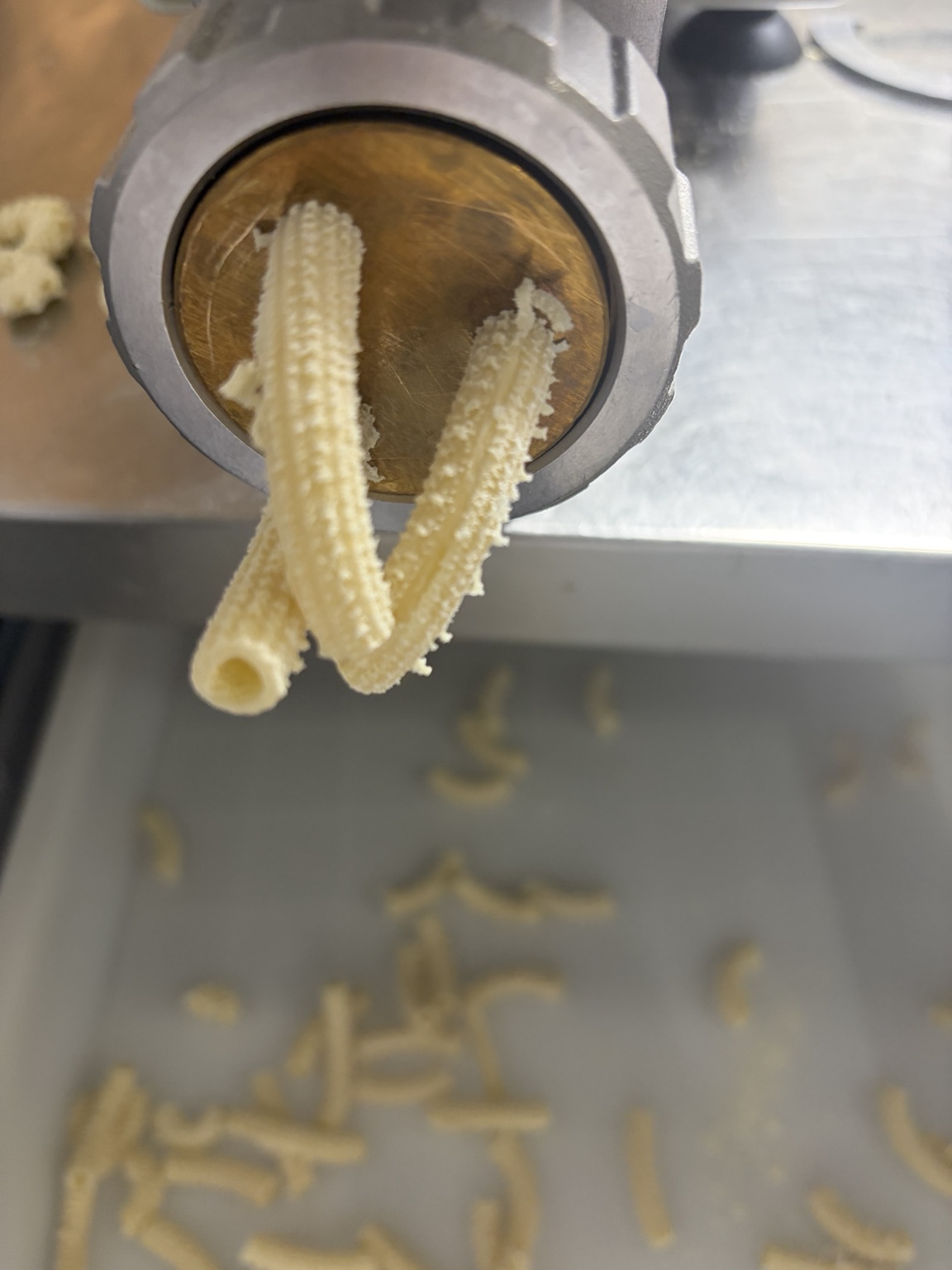 Fresh rigatoni coming from the pasta machine