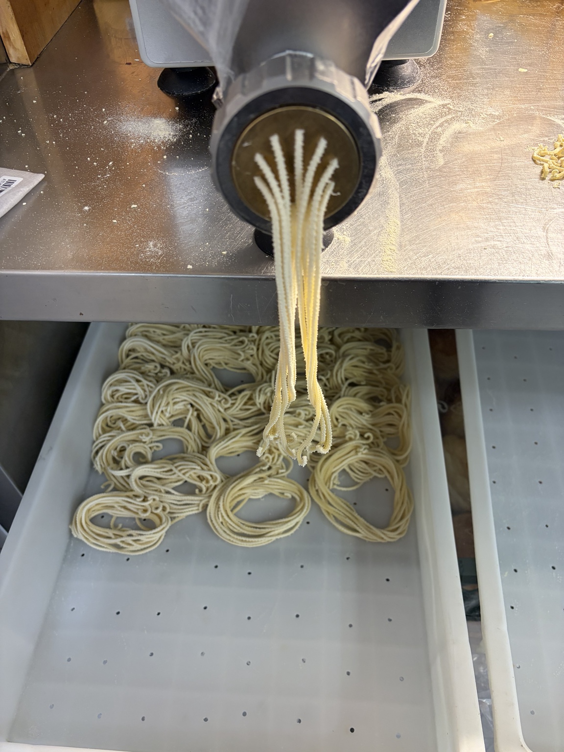 Fresh spaghetti being extruded from the pasta machine